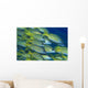School Bluestripe Snapper Lutjanus Wall Decal
