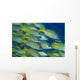 School Bluestripe Snapper Lutjanus Wall Decal