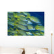 School Bluestripe Snapper Lutjanus Wall Decal