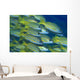 School Bluestripe Snapper Lutjanus Wall Decal