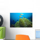 Clownfish with Sea Anemone Wall Decal