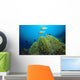 Clownfish with Sea Anemone Wall Decal