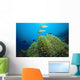Clownfish with Sea Anemone Wall Decal