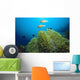 Clownfish with Sea Anemone Wall Decal