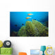 Clownfish with Sea Anemone Wall Decal