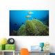 Clownfish with Sea Anemone Wall Decal