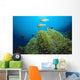 Clownfish with Sea Anemone Wall Decal
