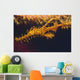 Harlequin Ghost Pipefish Bali Wall Decal