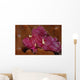 Leaf Scorpionfish Taenianotus Triacanthus Wall Decal Design 2