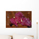 Leaf Scorpionfish Taenianotus Triacanthus Wall Decal Design 2