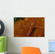 Cleaning Shrimps Lysmata Amboinensis Wall Decal