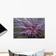 Tube-dwelling Anemone Ceriantharia Wall Decal