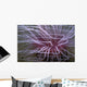 Tube-dwelling Anemone Ceriantharia Wall Decal