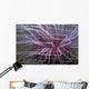 Tube-dwelling Anemone Ceriantharia Wall Decal