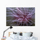Tube-dwelling Anemone Ceriantharia Wall Decal