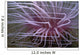 Tube-dwelling Anemone Ceriantharia Wall Decal