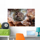 Spotbase Burrfish Cyclichthys Spilostylus Wall Decal