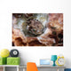 Spotbase Burrfish Cyclichthys Spilostylus Wall Decal