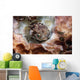 Spotbase Burrfish Cyclichthys Spilostylus Wall Decal