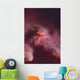 Squat Lobster Lauriea Siagiani Wall Decal
