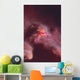 Squat Lobster Lauriea Siagiani Wall Decal
