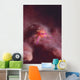 Squat Lobster Lauriea Siagiani Wall Decal