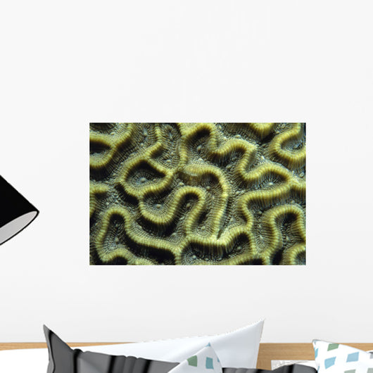 Structure Pattern Coral Tulamben Wall Decal