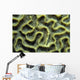 Structure Pattern Coral Tulamben Wall Decal