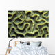 Structure Pattern Coral Tulamben Wall Decal