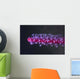 Colorful Soft Coral Tulamben Wall Decal