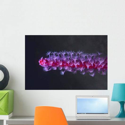 Colorful Soft Coral Tulamben Wall Decal