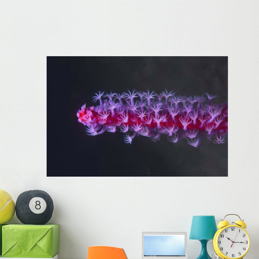 Colorful Soft Coral Tulamben Wall Decal
