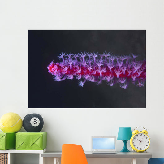 Colorful Soft Coral Tulamben Wall Decal