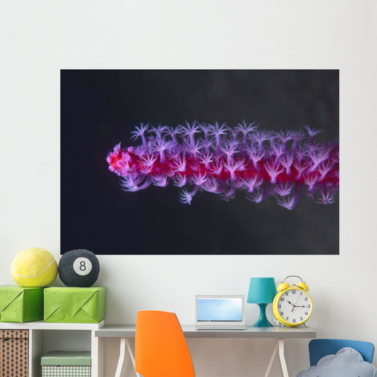 Colorful Soft Coral Tulamben Wall Decal