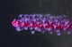 Colorful Soft Coral Tulamben Wall Decal