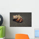 Anemone Hermit Crab Dardanus Wall Decal Design 2