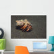 Anemone Hermit Crab Dardanus Wall Decal Design 2