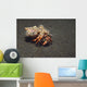 Anemone Hermit Crab Dardanus Wall Decal Design 2