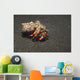 Anemone Hermit Crab Dardanus Wall Decal Design 2