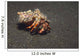 Anemone Hermit Crab Dardanus Wall Decal Design 2