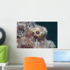 Eye Flathead Scorpionfish Scorpaenopsis Wall Decal