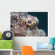 Eye Flathead Scorpionfish Scorpaenopsis Wall Decal