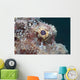 Eye Flathead Scorpionfish Scorpaenopsis Wall Decal