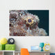 Eye Flathead Scorpionfish Scorpaenopsis Wall Decal