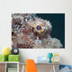 Eye Flathead Scorpionfish Scorpaenopsis Wall Decal