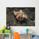 Anemone Hermit Crab Dardanus Wall Decal Design 1