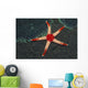 Necklace Starfish Fromia Monilis Wall Decal