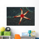 Necklace Starfish Fromia Monilis Wall Decal