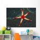 Necklace Starfish Fromia Monilis Wall Decal