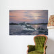 Dolphins Wall Decal